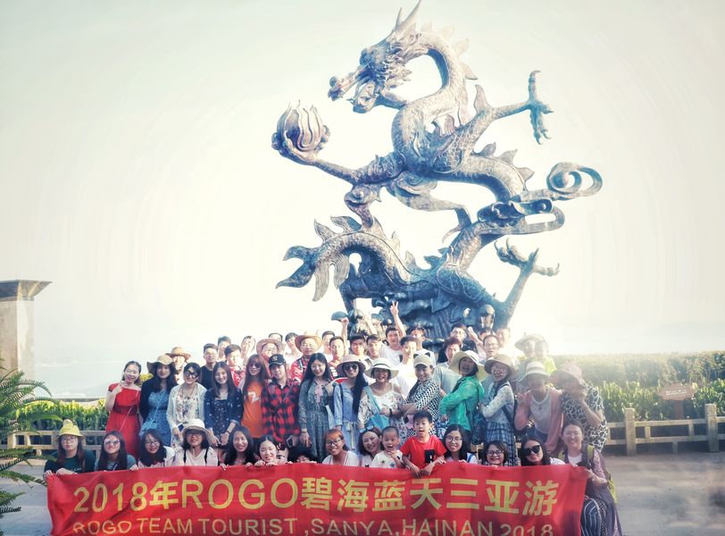 China Rogo Industrial (Shanghai) Co., Ltd. Bedrijfsprofiel