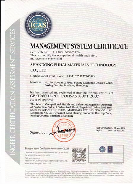 China Rogo Industrial (Shanghai) Co., Ltd. certificaten
